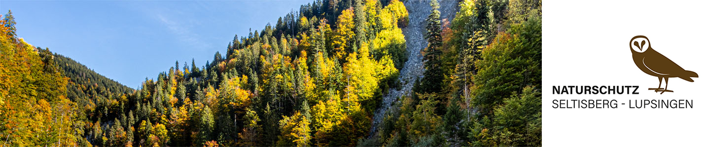 Wir setzen uns aktiv für den Natur- und Landschaftsschutz ein.